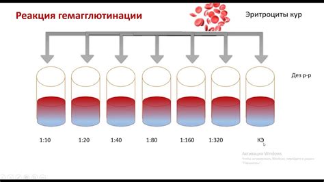 Подготовка к отключению РГА-8: основные этапы