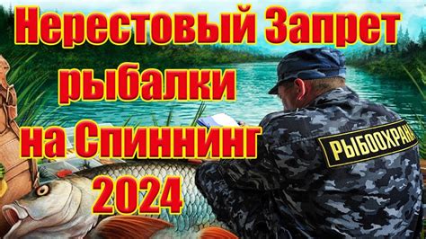 Подготовка к рыбалке в нерестовый период: планирование и сроки