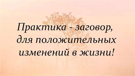 Поддержка и позитивный пример: создание положительных изменений в жизни других людей