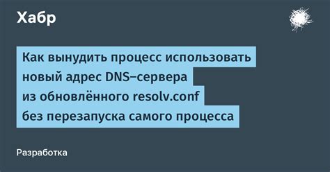 Подробный анализ процесса настройки управляющего средства DNS поэтапно