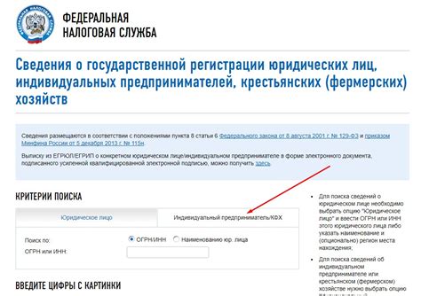 Поиск информации об индивидуальном предпринимателе в государственных реестрах