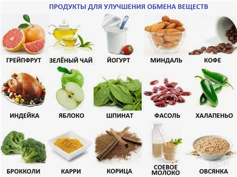 Полезные продукты для здорового рациона питания по принципам диеты 4Б