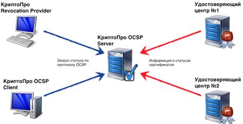 Получение и загрузка прав на использование КриптоПро