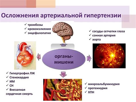 Понимание гипертензии и гипотензии