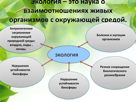 Понимание экологии и ее роль в повседневной жизни