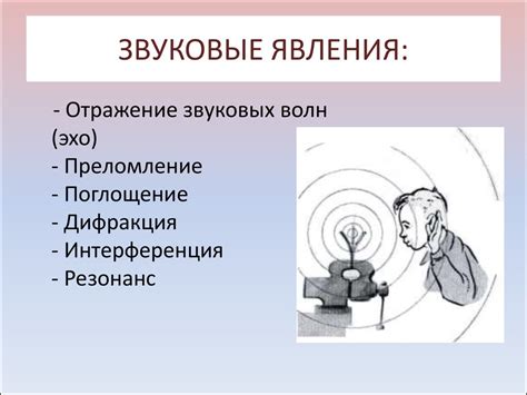 Понимание явления эха и его воздействия на звук