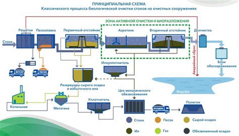 Последовательность этапов процесса очистки и важные нюансы