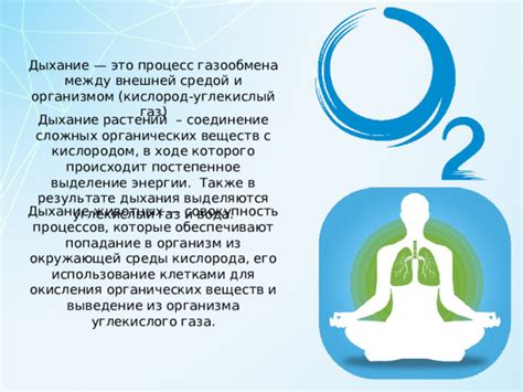 Последствия недостаточной насыщенности организма кислородом: почему это важно для здоровья?