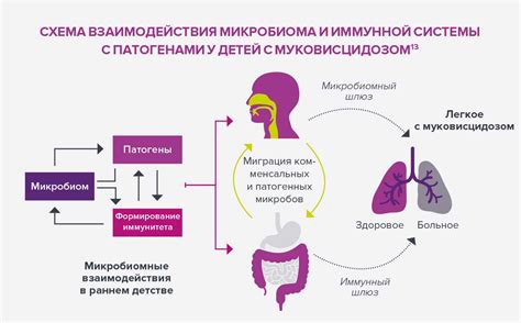 Последствия неполадок в микробиоте