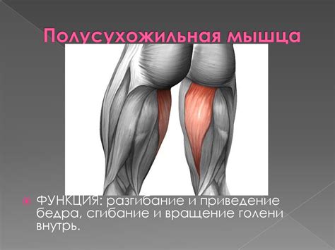 Постепенное отделывание и прикрепление подрубленного куска