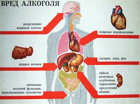 Поступки человека: последствия для здоровья