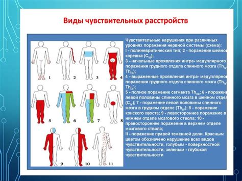 Потеря чувствительности и возможные нарушения ощущений