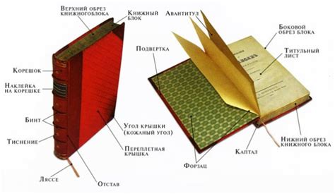 Почему необходимо устранять загрязнения с края страницы в книге?