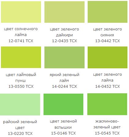 Почему салатовый цвет завоевал популярность в модной индустрии?