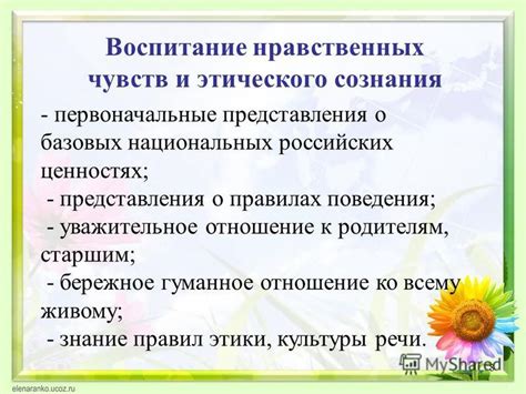 Правила поведения и уважительное отношение к окружающей среде в лечебнице йозефки: соблюдение этикета и забота о природе