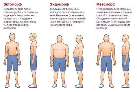 Правильное питание для людей с мезоморфическим типом телосложения