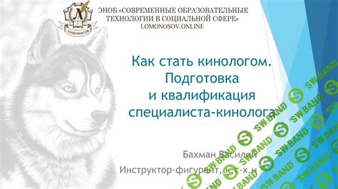 Практическая подготовка перед поступлением на кинолога: важный этап становления профессионала