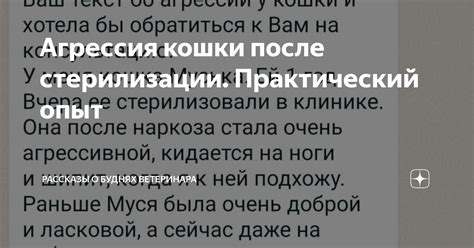 Практический опыт: рассказы и отзывы пользователей, которые уже применили отработку или дрова как источник энергии