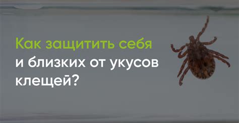 Превентивные меры для защиты себя и своих близких от укусов клещей