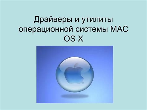 Предварительные требования: наличие установленной игры и операционной системы macOS