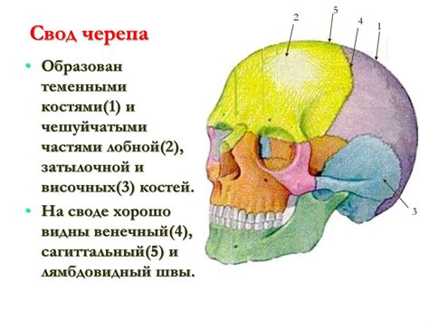 Представление черепа в мифологии и религии