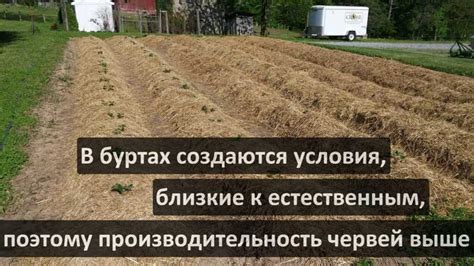 Преимущества использования биогумуса в садоводстве