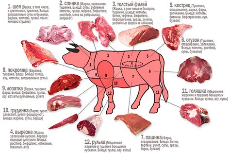 Преимущества использования эластичных кусков мяса из говяжьего участка