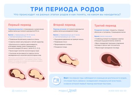 Преодоление периода после родов: возможности и перспективы