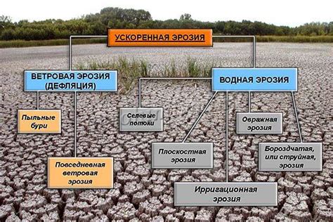 Преодоление проблемы непроизводительной почвы: стратегии борьбы и преобразования