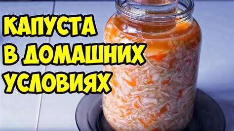 Приготовление соленой капусты в домашних условиях на зиму: шаг за шагом