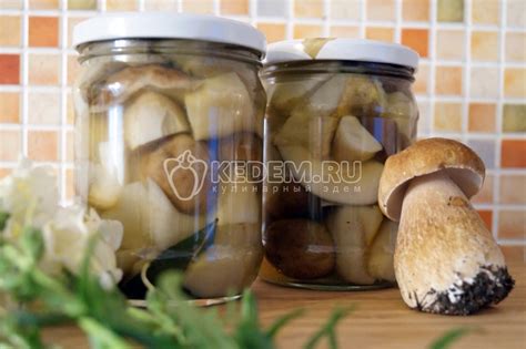 Приготовление соленых белых грибов: пошаговый рецепт