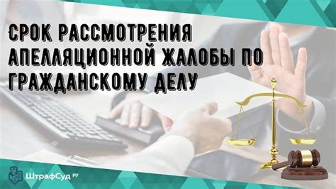 Приготовьтесь к апелляции: ключевые сведения о превентивных мерах