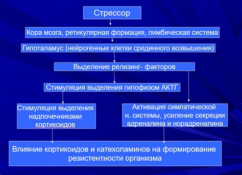 Признаки и проявления гипофизарно-надпочечниковой системы (ГЦС)