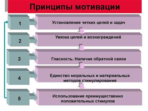 Признание и поощрение: инструменты мотивации в процессе обучения щенка гигиене