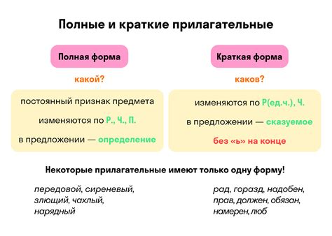 Прилагательные, сопровождающие существительные, имеющие две формы рода