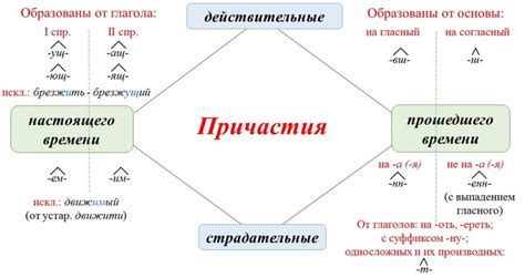 Применение активных причастий в составе предложений