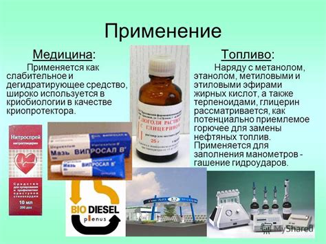 Применение кизила в гастрономии и медицине