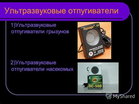 Применение устройств, работающих на основе ультразвука, для отпугивания вредных насекомых в помещении