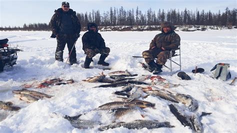 Применение электроники для обнаружения щуки подо льдом