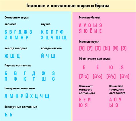 Примеры звучащих и неглухих согласных в русском языке