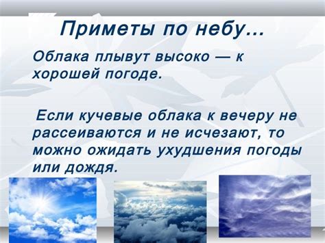 Приметы, по которым можно распознать представителя воровского мира в столице