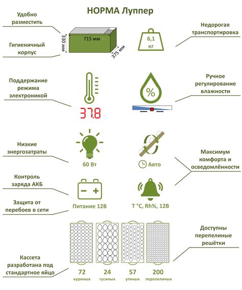 Принципы работы инкубатора