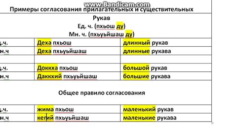 Принципы согласования числа и рода прилагательных существительными