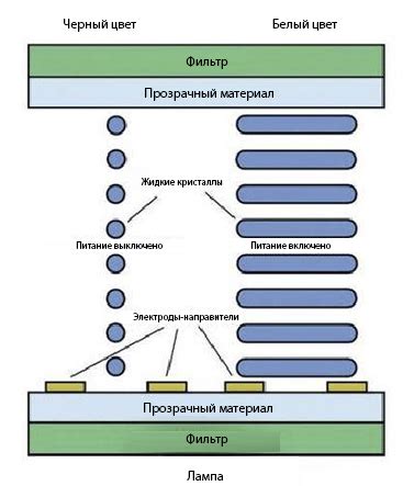 Принципы функционирования и особенности IPS-дисплея: суть и принцип действия