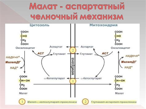 Принцип действия меловых ароматизаторов: основные механизмы эффекта