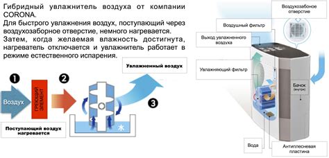 Принцип работы и преимущества устройства для увлажнения воздуха