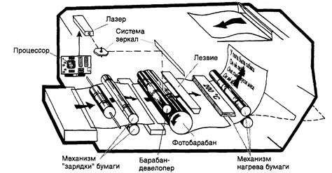 Принцип работы лазерного принтера: развертка и нанесение изображения на бумагу