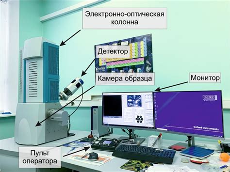 Принцип работы сэм микроскопа: сканирование и детектирование