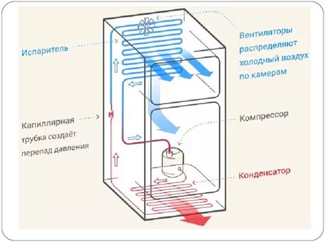 Принцип работы холодильника и необходимость регулярного очищения от образовавшегося наледи
