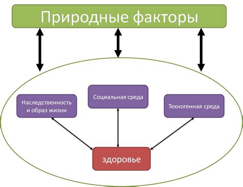 Природные факторы, влияющие на эмпатию